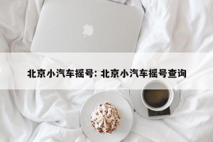 北京小汽车摇号: 北京小汽车摇号查询