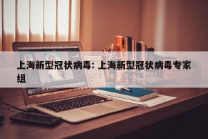 上海新型冠状病毒: 上海新型冠状病毒专家组